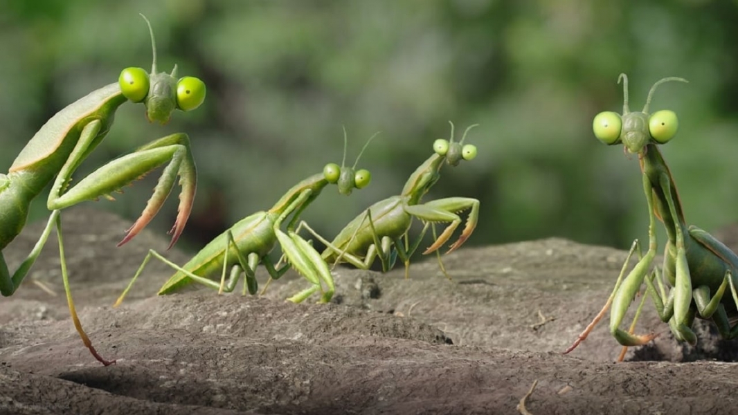 Minuscule 2: Mandibles From Far Away